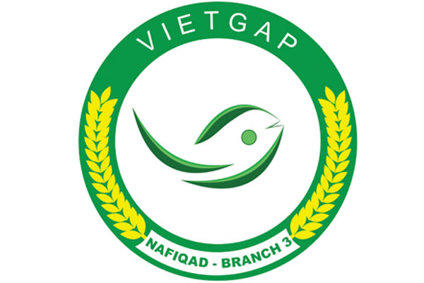 Chứng nhận Vietgap